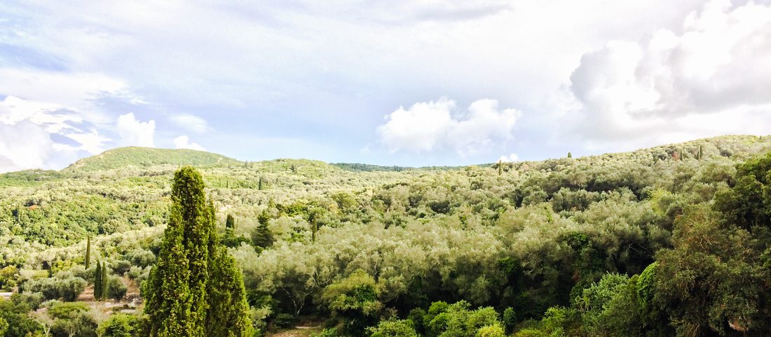 Meadow view from the east balcony